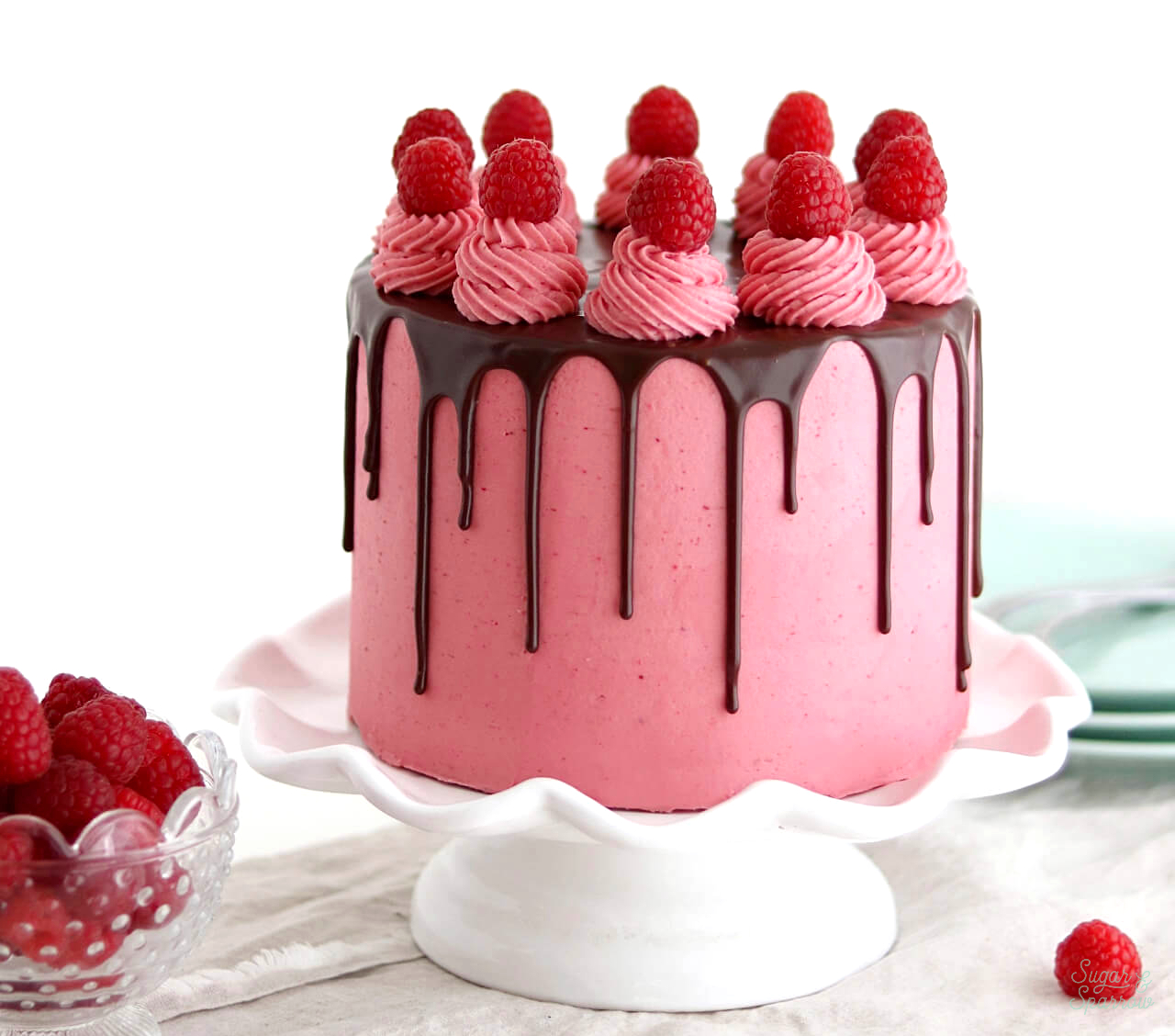 Raspberry-Chocolate-Cake-Header.jpg