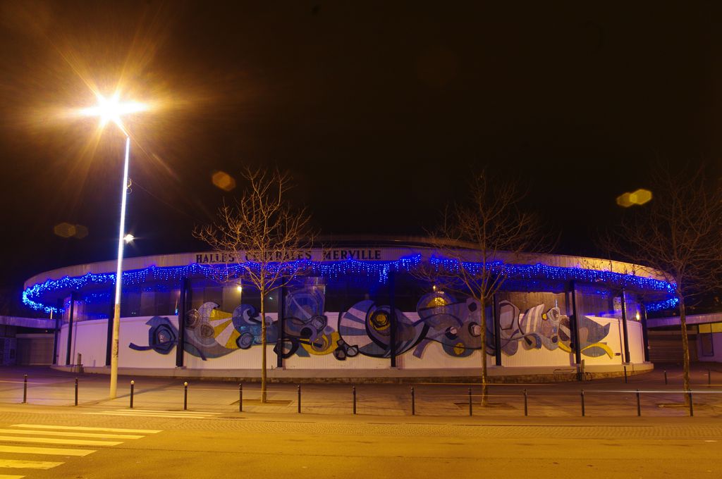 IMGP2168-r.jpg