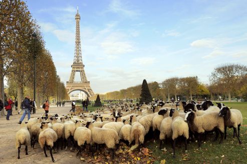 Paname.jpg