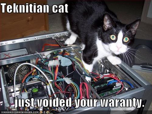 TechnicianCat.jpg