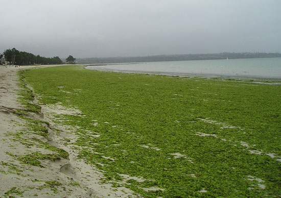 image_1617.jpg