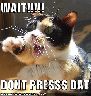 funny-pictures-cat-asks-you-to-not-press-that.jpg